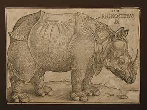 Descrizione: Rhino Durer